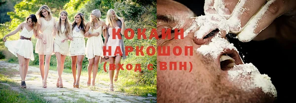 спайс Арсеньев