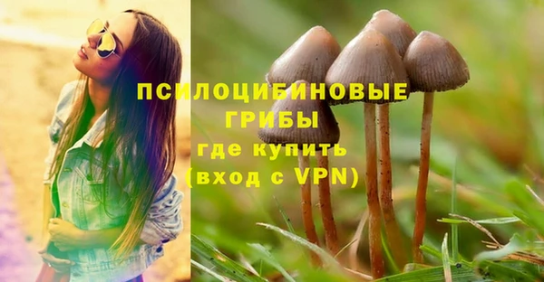 спайс Арсеньев